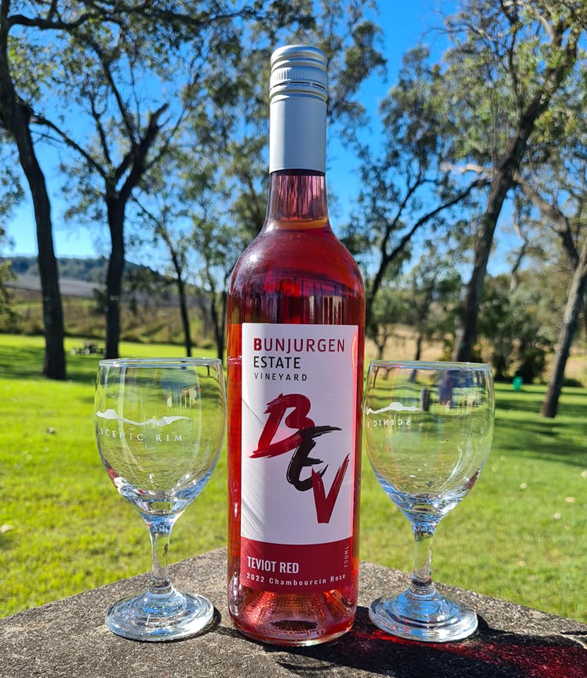 2022 Chambourcin Rose (12)